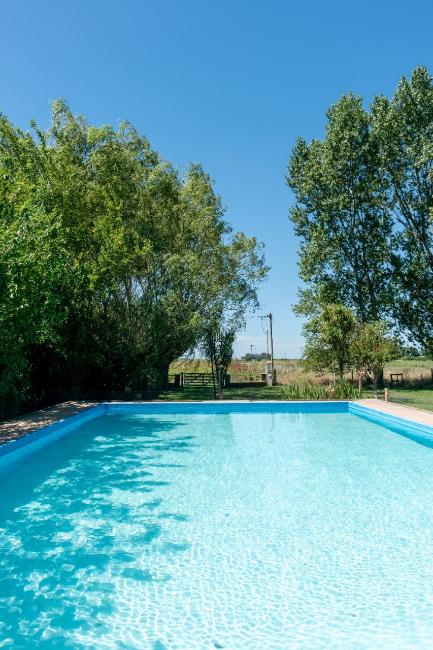 A large outdoor swimming pool is visible, featuring clear turquoise water. Surrounding the pool are tall trees, providing shade and enhancing the serene environment. The bright blue sky is visible above, adding to the tranquil setting.