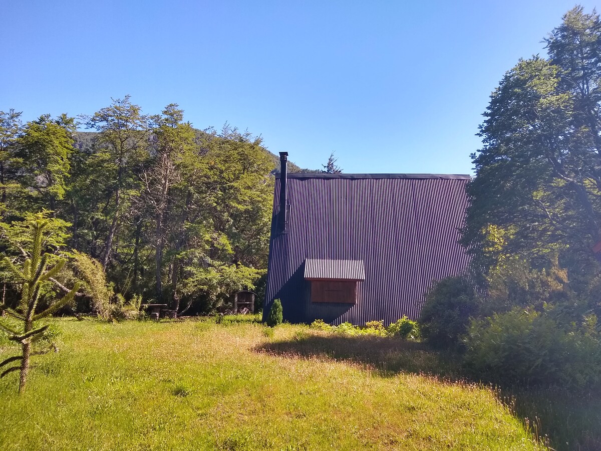 A two-story cabin is situated amidst lush greenery, showcasing a dark exterior with a pitched roof. Large windows are contrasted by wooden accents, blending harmoniously with the surrounding natural landscape. Open grassland extends in the foreground, inviting a sense of tranquility and connection to nature.