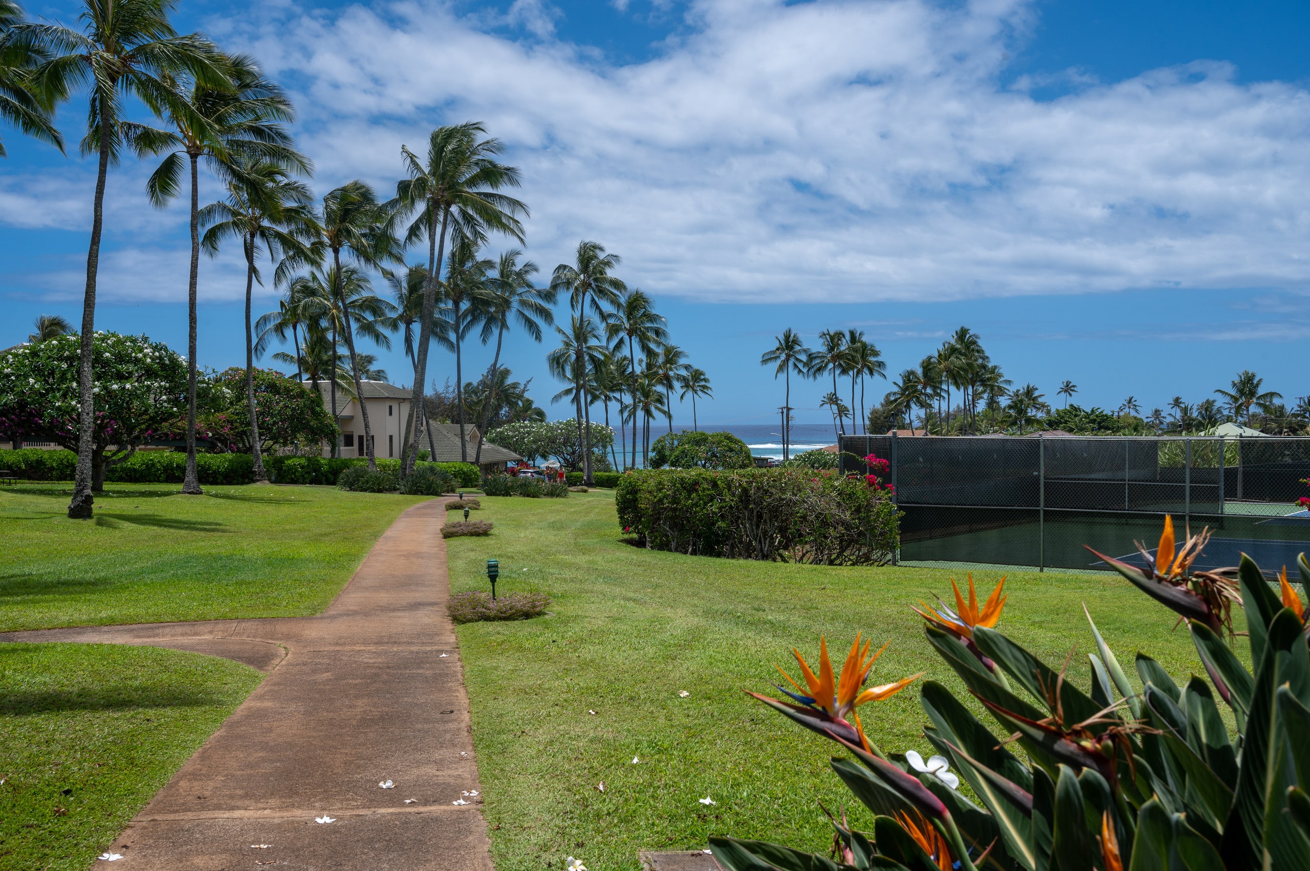 Condo in Koloa · ★4.92 · 2 bedrooms · 4 beds · 2 baths - Image 15
