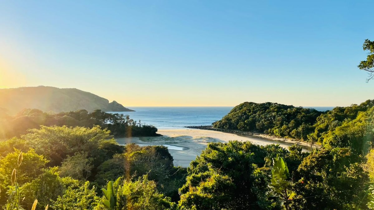 A serene beach landscape is captured, featuring gentle waves lapping at the shore under a clear blue sky. Lush greenery surrounds the coastline, with hills framing the horizon. The sunlight casts a warm glow over the scene, enhancing the peaceful atmosphere.