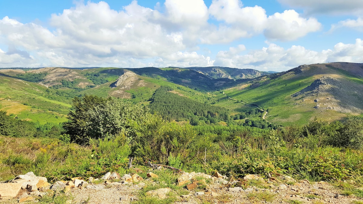 A panoramic view of lush green valleys and rolling hills is presented under a bright blue sky filled with fluffy white clouds. Various shades of green are visible in the landscape, with patches of trees and rocky outcrops enhancing the scenic backdrop.