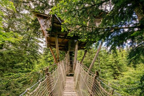 Nis de Bisou tree house