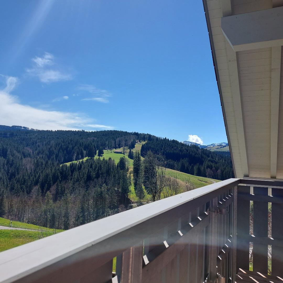 A view from the balcony reveals a vast landscape of rolling green hills and dense forests under a clear blue sky. The natural scenery showcases a serene atmosphere, providing a connection to the surrounding countryside.