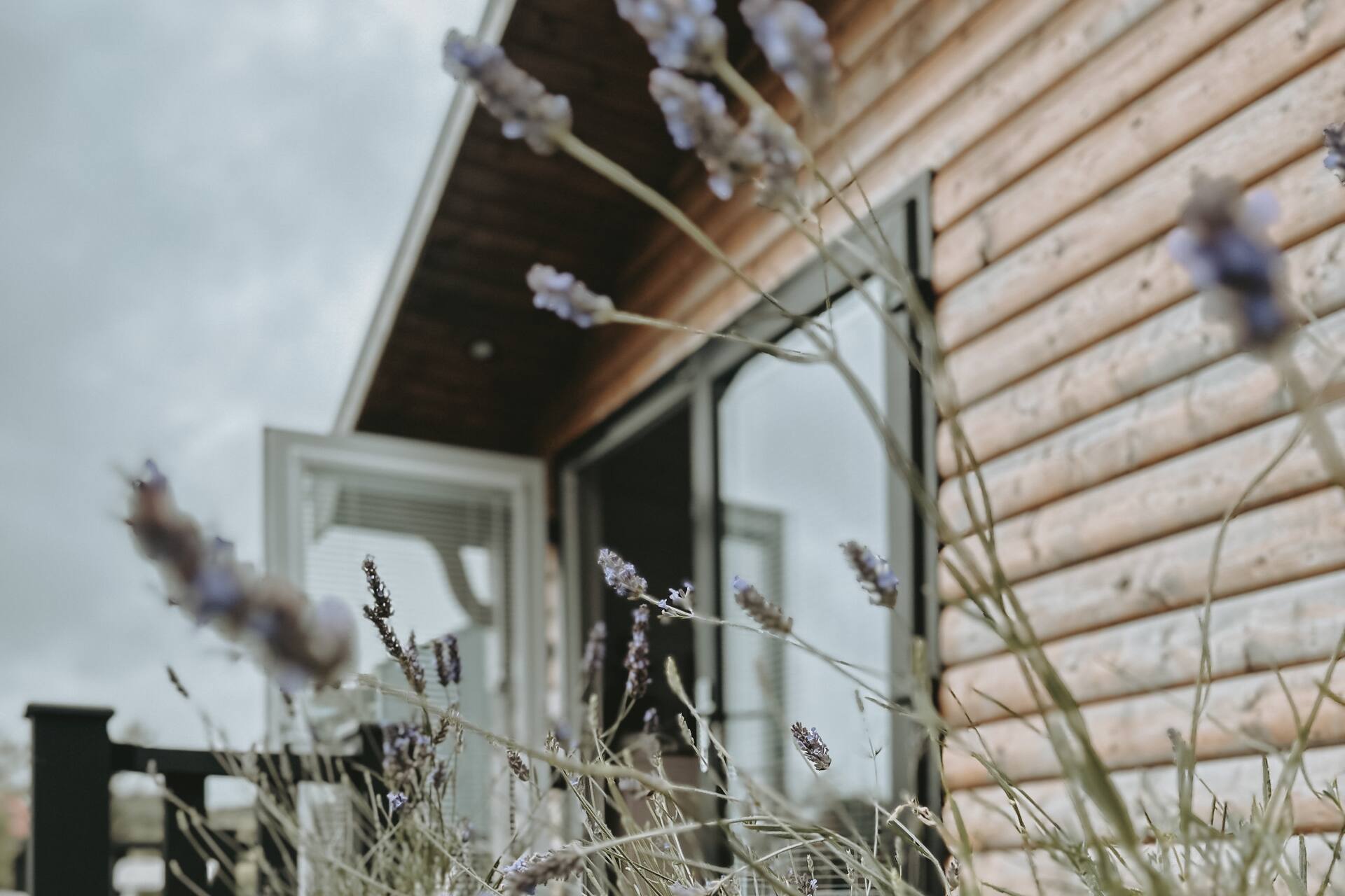 The Cabin @CabinByTheCoast - Portrush North Coast