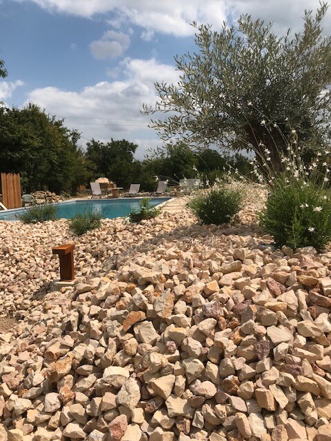 A landscaped area surrounding a swimming pool features a mixture of smooth, light-colored rocks. Small shrubs and flowering plants add greenery to the environment. Olive trees are visible in the background against a partly cloudy sky.