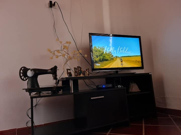 אזור טלוויזיה עם דיר.