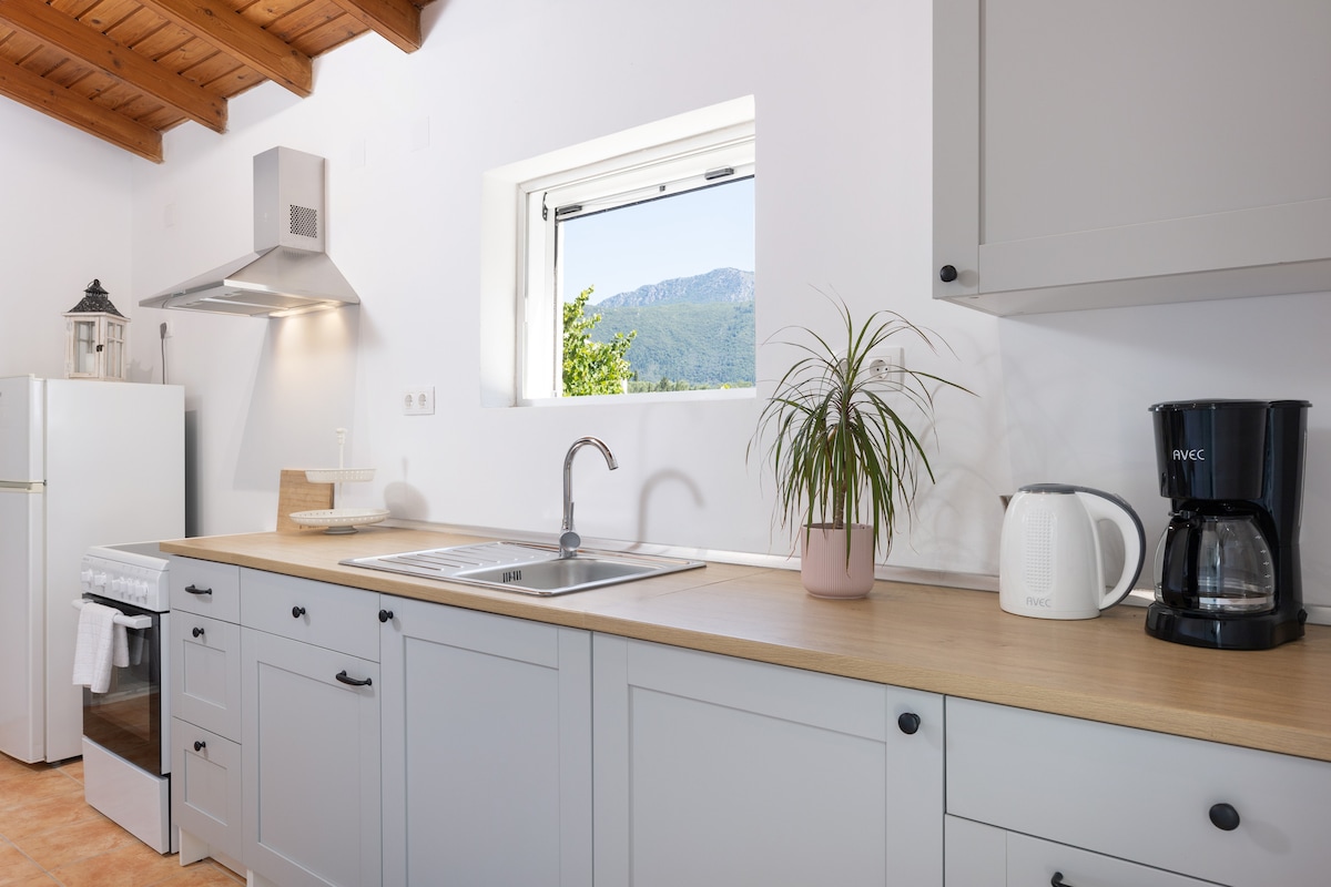 A modern kitchen features light grey cabinetry and a wooden countertop. A window offers a view of the mountains, while essential appliances, including a kettle and coffee maker, are neatly arranged. Natural light brightens the space, complemented by houseplants for a refreshing touch.