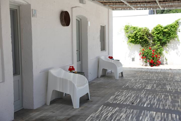 Lamia Speziale gallery image 5