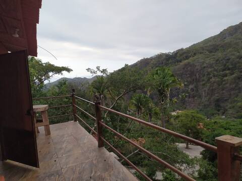 Las 7 Mulas y un Burro Cabezón (2)