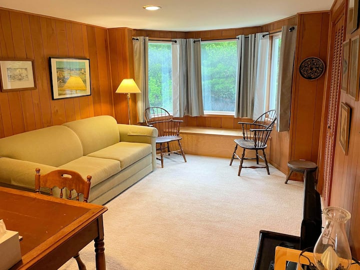 带标准双人沙发床的办公室