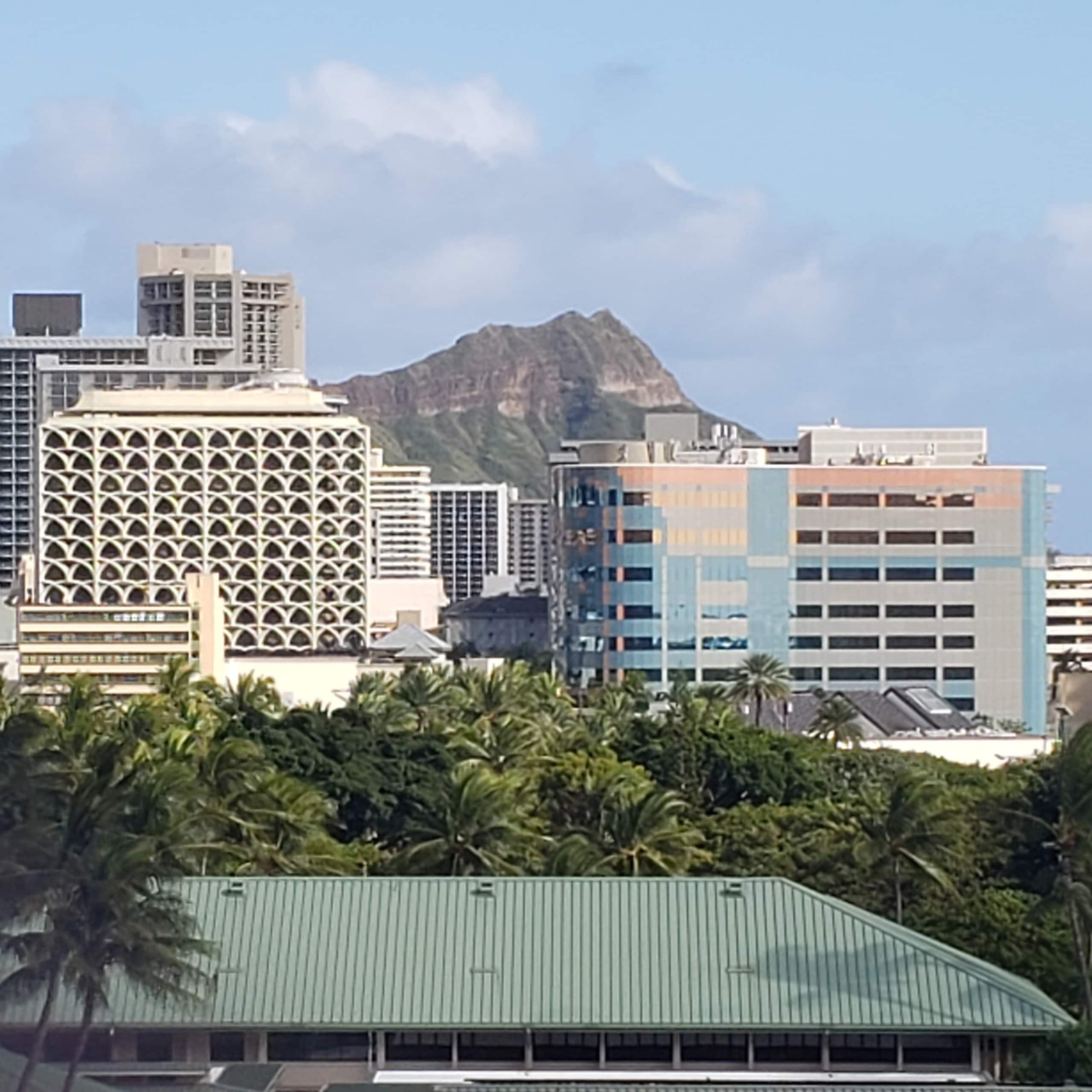 Condo in Honolulu · ★4.88 · Studio · 1 bed · 1 private bath - Image 13