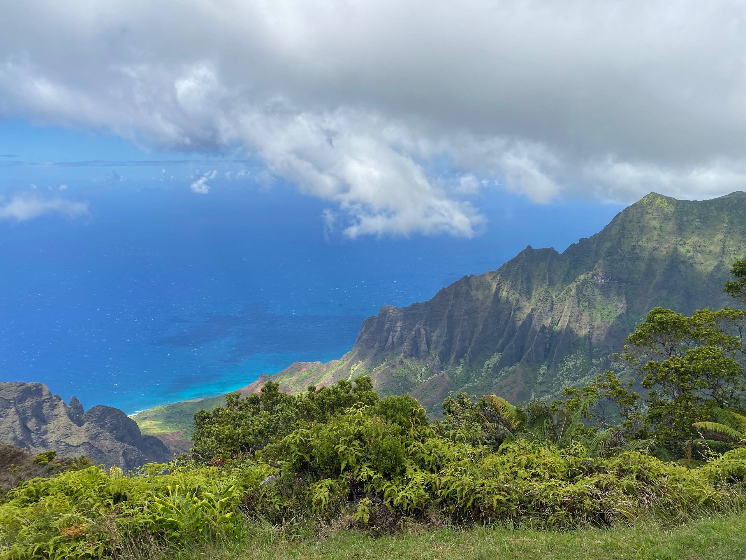 Townhouse in Princeville · ★4.96 · 2 bedrooms · 3 beds · 2 shared baths - Image 25