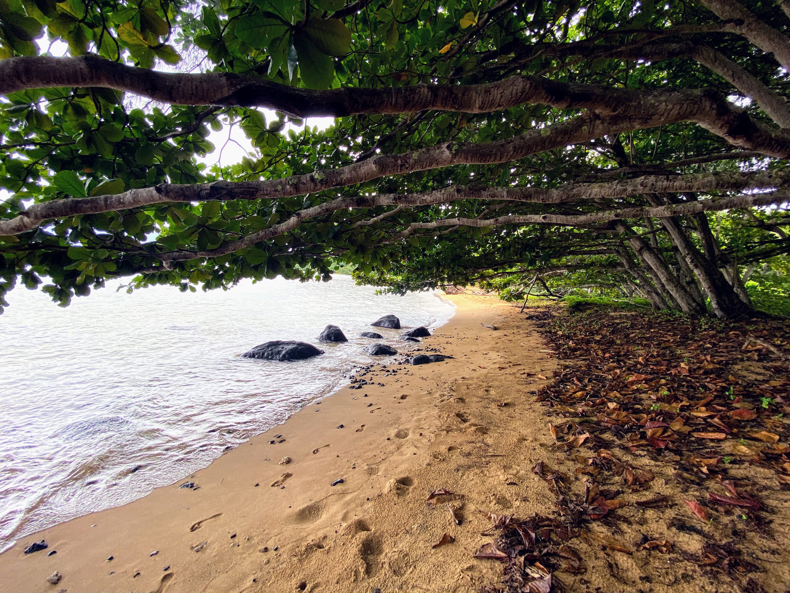 Townhouse in Princeville · ★4.96 · 2 bedrooms · 3 beds · 2 shared baths - Image 18
