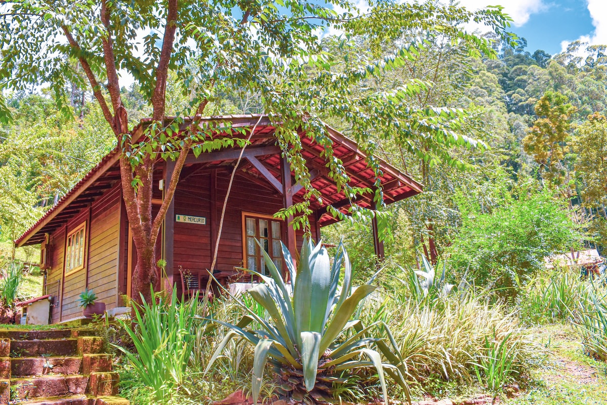 A charming wooden cabin is nestled among lush green trees, with a slanted red roof and large windows. Surrounding plants include tropical foliage and an agave plant, creating a natural and inviting atmosphere.
