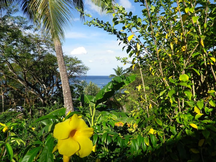 PointeNoire Alquileres vacacionales y alojamientos BasseTerre