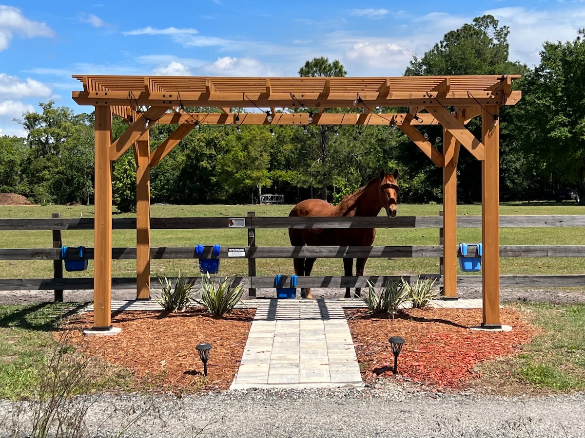 A wooden pergola frames a pathway leading to a fenced area where a brown horse is visible. The landscape features a grassy field with trees in the background, complemented by decorative plants and solar lights along the path.