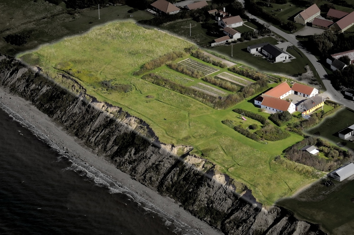 An aerial view showcases a spacious grassy area bordering the fjord. Several patches of cultivated land are visible, alongside a cluster of residential buildings with red roofs. The shoreline gently slopes towards the water, presenting a natural landscape.