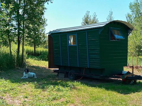 Top Airbnb: The Vardo - a charming bohemian caravan in Ithaca