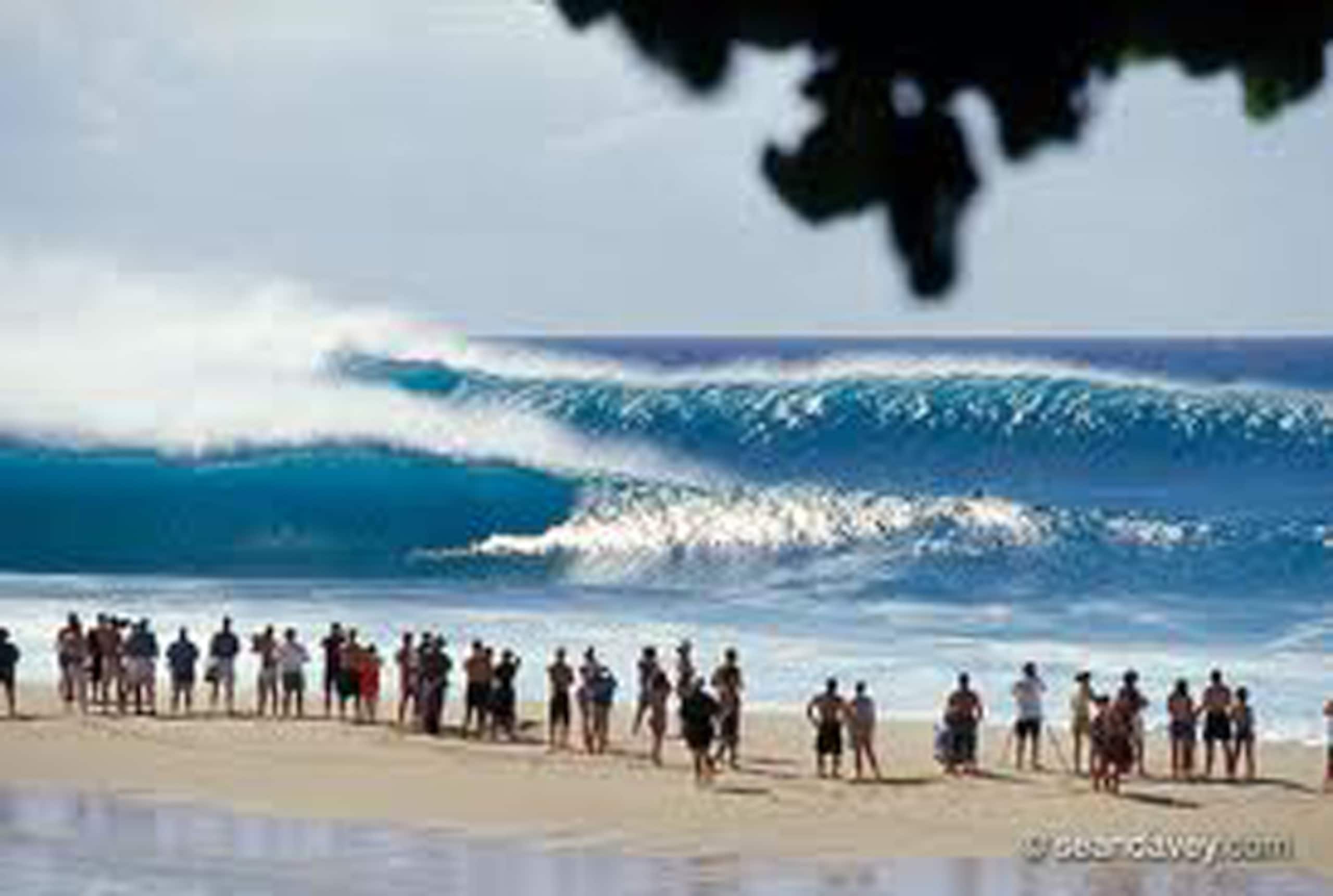 Condo in Kahuku · ★4.39 · 1 bedroom · 2 beds · 1 private bath - Image 21