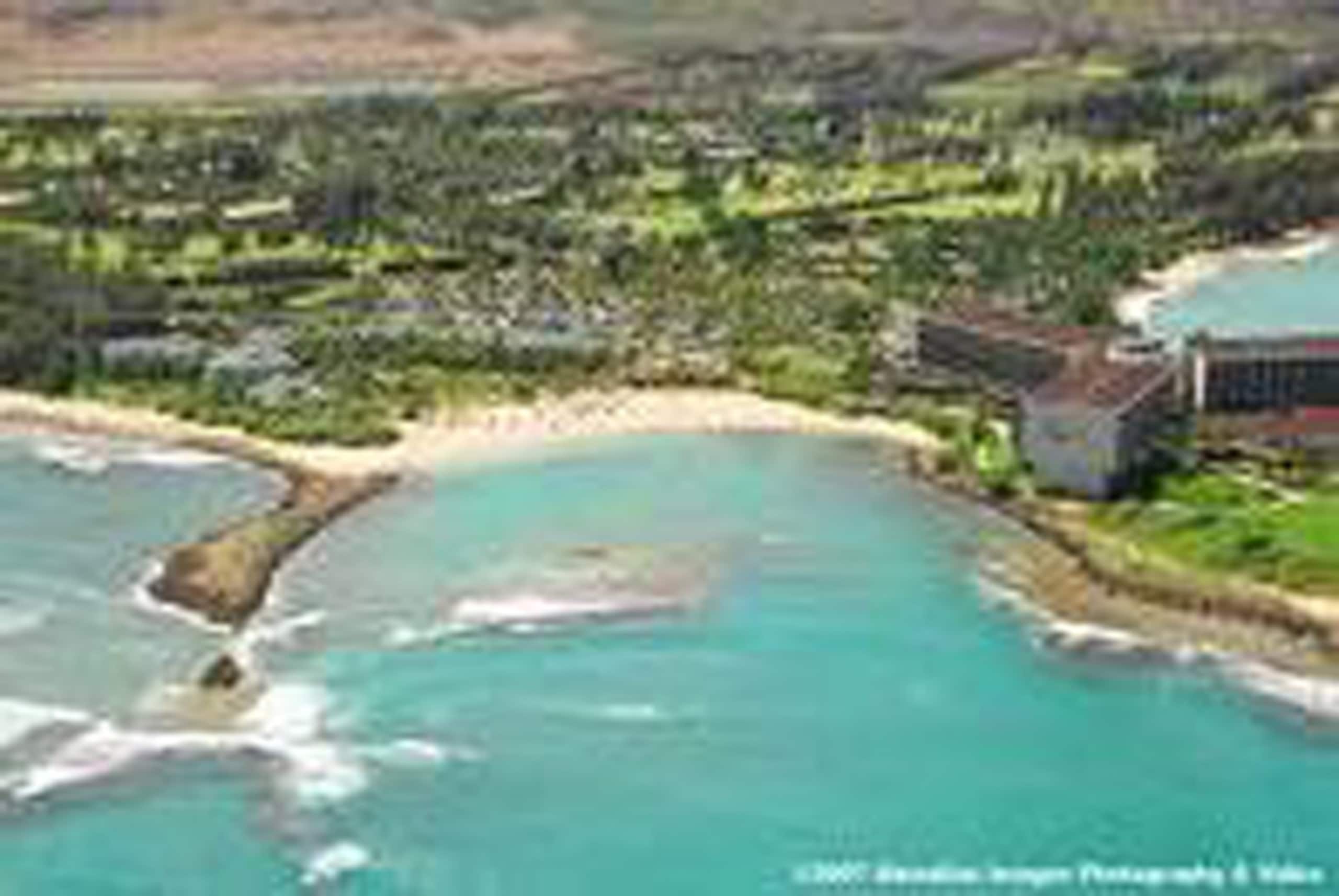 Condo in Kahuku · ★4.39 · 1 bedroom · 2 beds · 1 private bath - Image 22