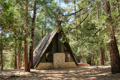 The Far Out -  A Frame cabin in the woods