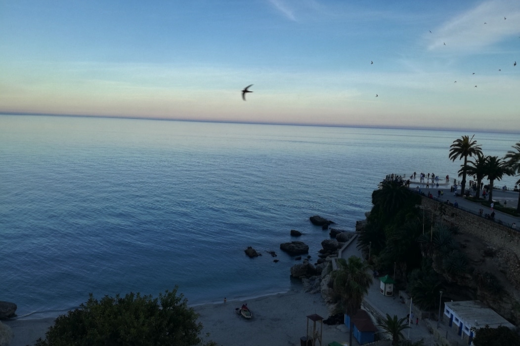 A serene seascape captures the calm waters reflecting soft hues of blue and pink at sunset. The shoreline features smooth rocks and small sandy areas, while palm trees and a seaside promenade are visible in the background. A few silhouettes of people can be seen along the coast.