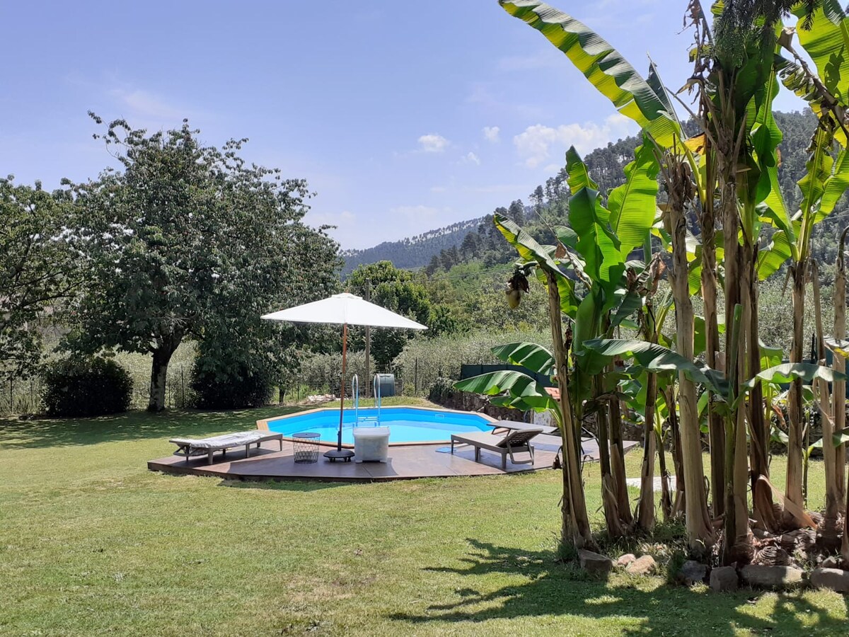 A small pool is surrounded by a well-maintained grassy area, featuring lounge chairs and an umbrella for shade. Tropical plants are visible in the foreground, while gentle hills can be seen in the background under a clear blue sky.