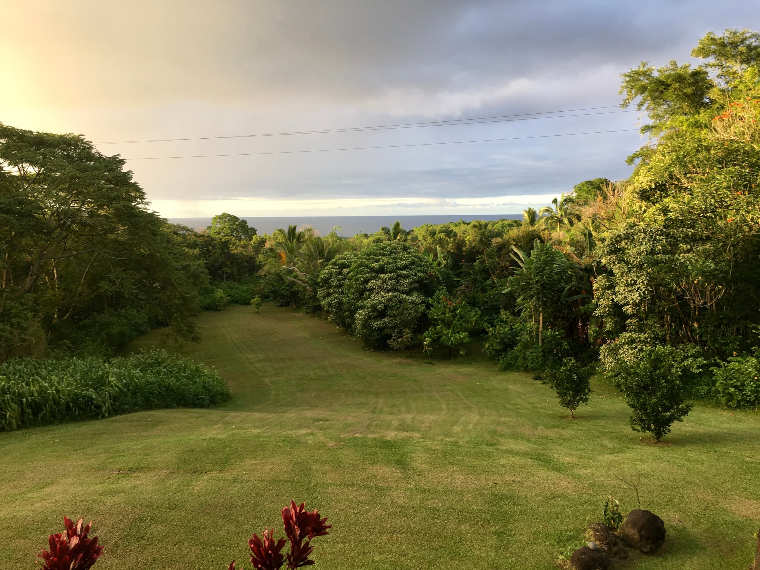 Hana Nautilus- Ocean view 3 bed 2 bath family home - Photo 6