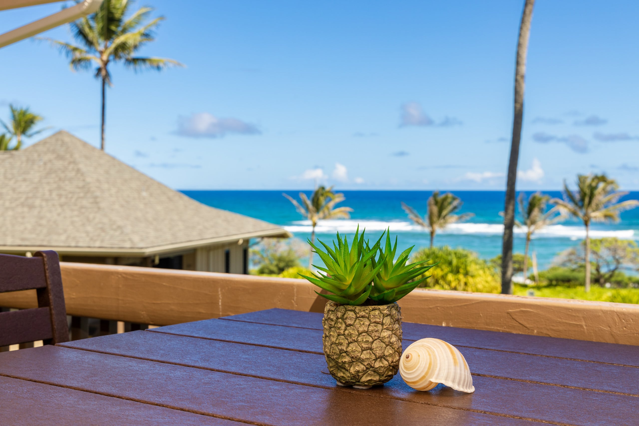 Oceanfront, Private Lanai, Steps to Beach - Photo 22