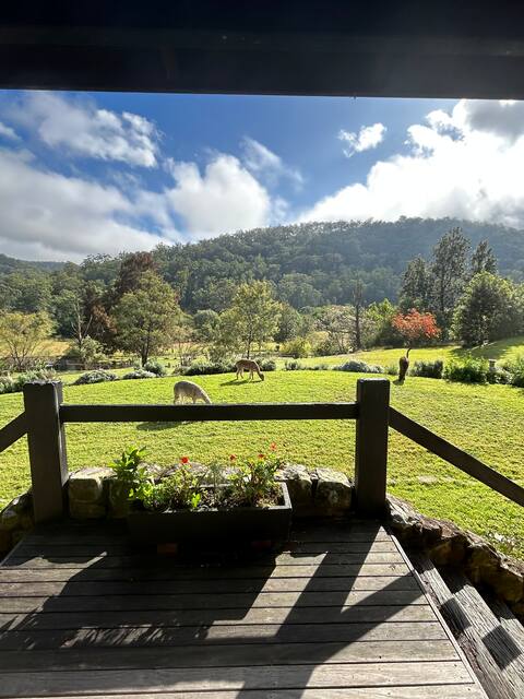 Wollombi Country House & Gardens