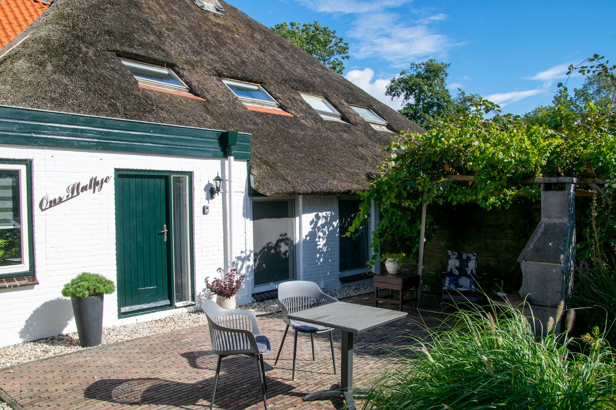 An outdoor seating area is featured in front of a thatched-roof building, complemented by a stone patio. A wooden table is surrounded by two grey chairs, with a green door and a vine-covered structure visible nearby.