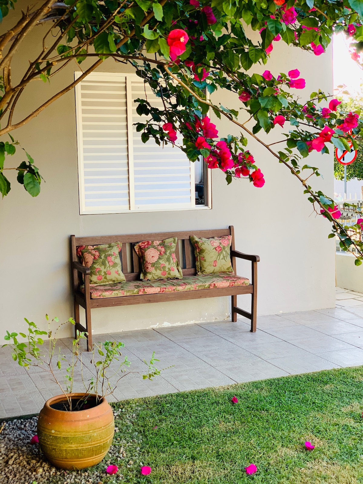 A wooden bench with floral-patterned cushions is positioned beneath a flowering bougainvillea, providing a cozy spot for relaxation. A terracotta pot sits nearby, complemented by a patch of well-kept grass and scattered petals, enhancing the tranquil setting.