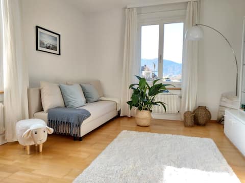 Top performing Airbnb: Relaxing holidays in Zürich, Switzerland in Zürich