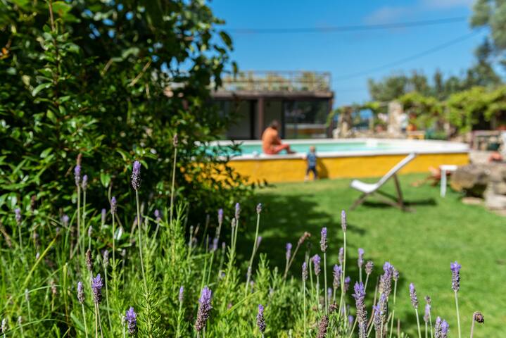 Heritage villa with ocean view gallery image 4