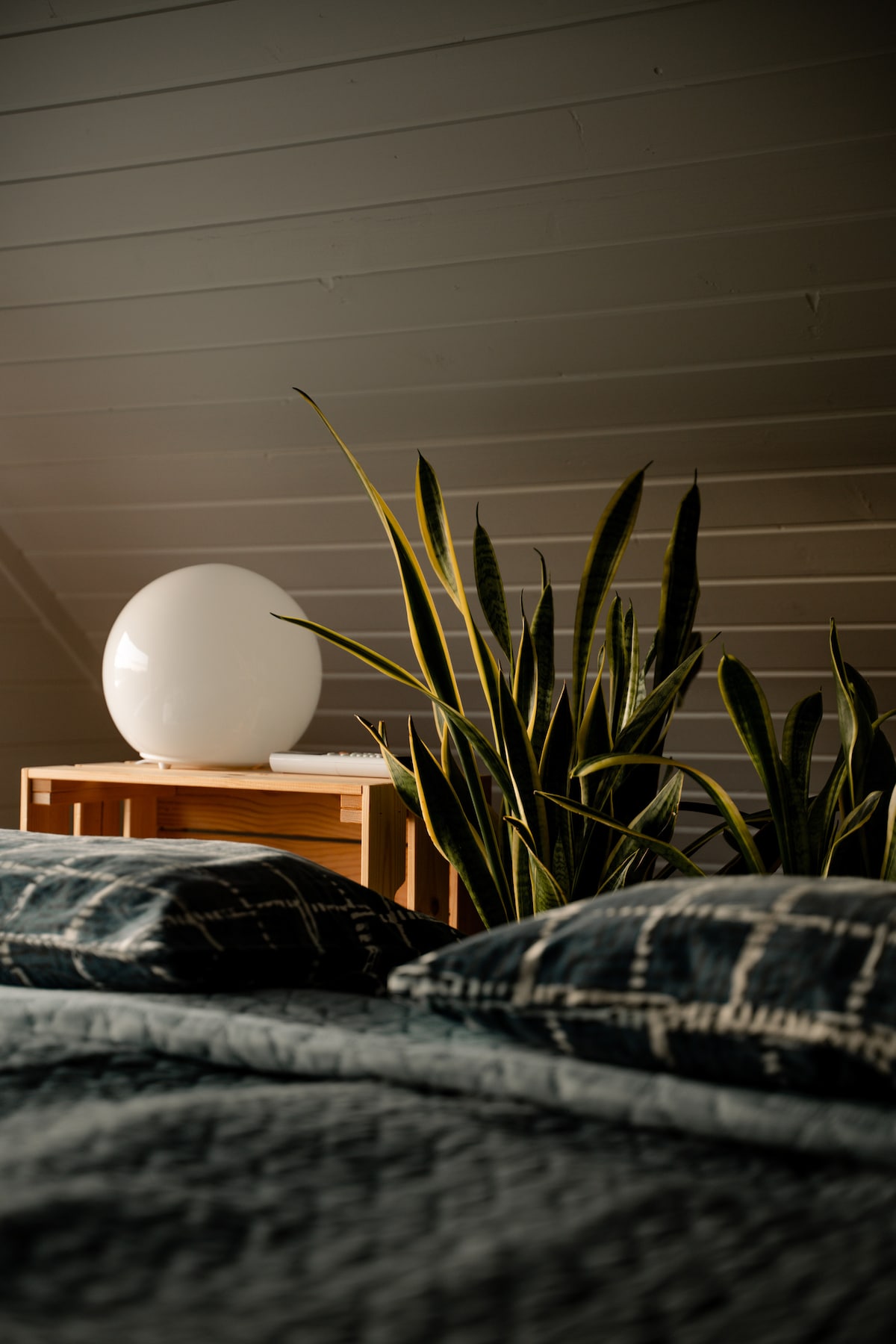 Udobni kreveti, debele spužve.