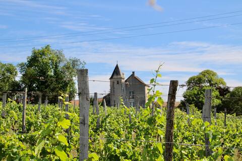 Manor in the heart of the vineyards