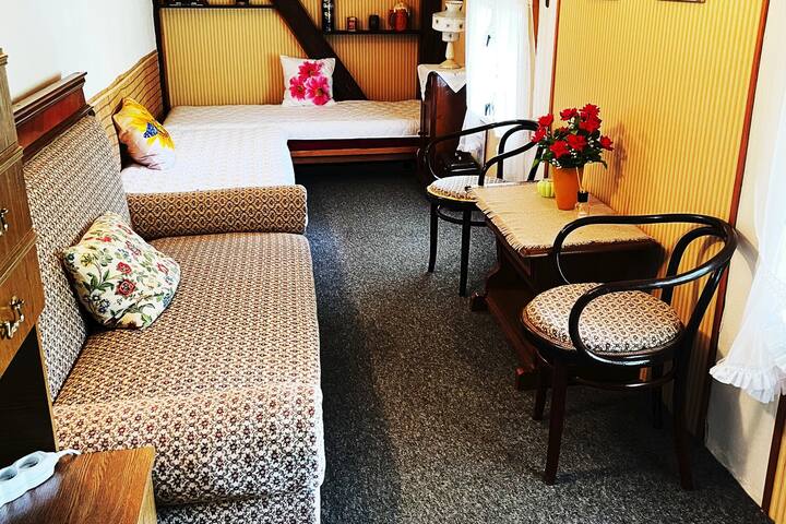 A summer room on the ground floor with a retro seating area.