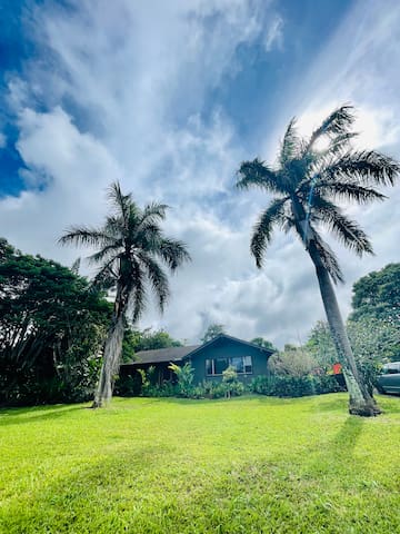 Northshore 5 acres plantation style home TVNC 4273