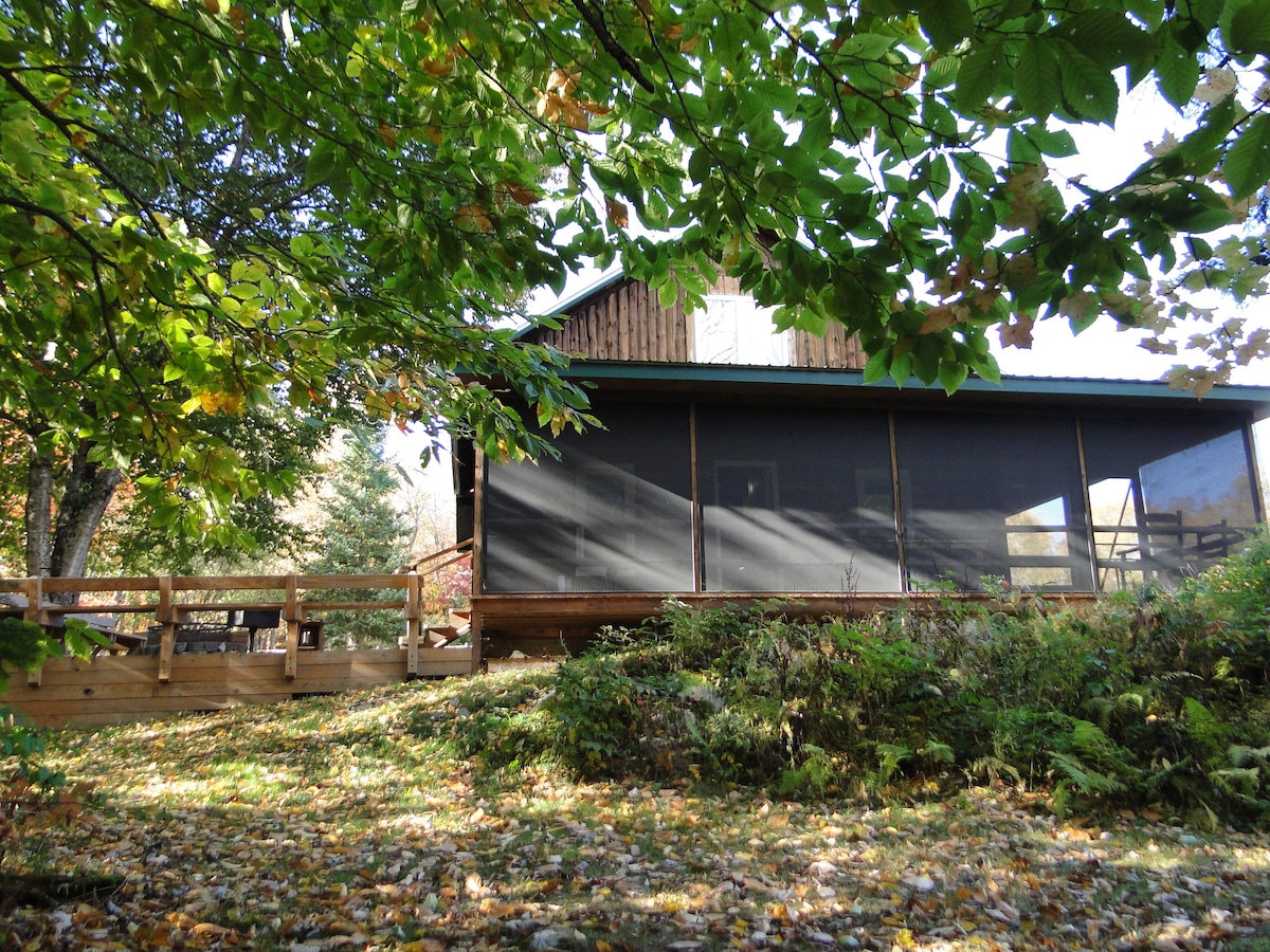 A rustic cabin is surrounded by lush trees, with a screened-in porch offering a peaceful view. The porch is shaded by greenery and features wooden railings, blending harmoniously with the natural setting. Fallen leaves blanket the ground, enhancing the serene outdoor atmosphere.