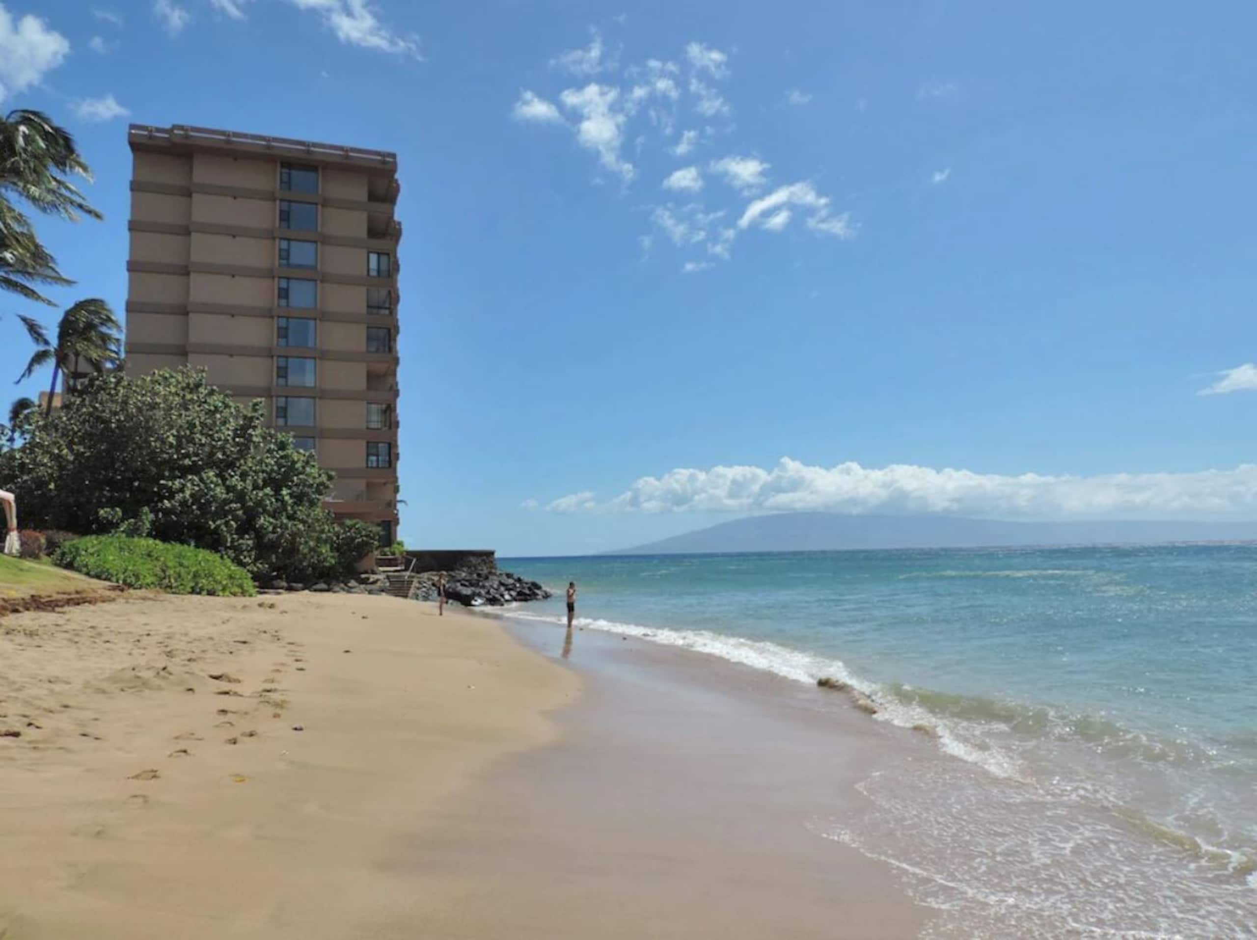Condo in Lahaina · ★4.89 · 1 bedroom · 2 beds · 1 bath - Image 24