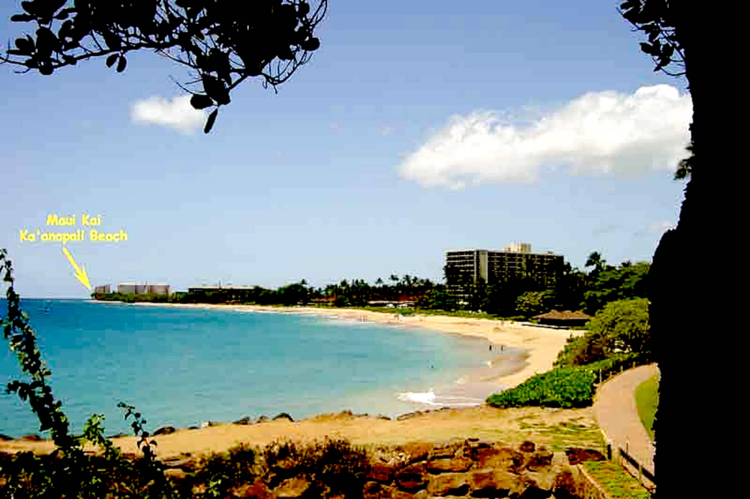 Condo in Lahaina · ★4.89 · 1 bedroom · 2 beds · 1 bath - Image 30