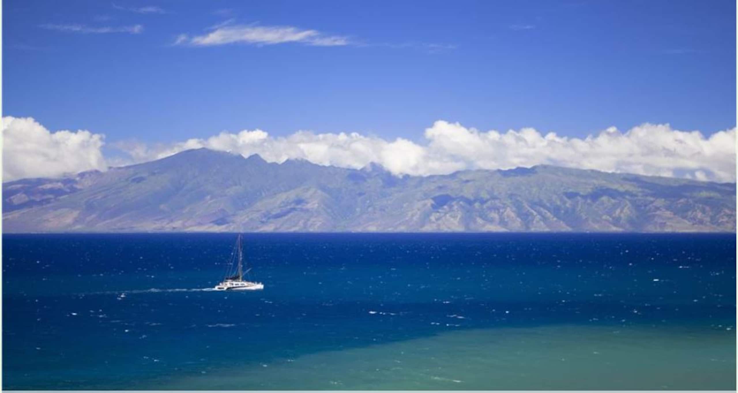 Condo in Lahaina · ★4.89 · 1 bedroom · 2 beds · 1 bath - Image 19