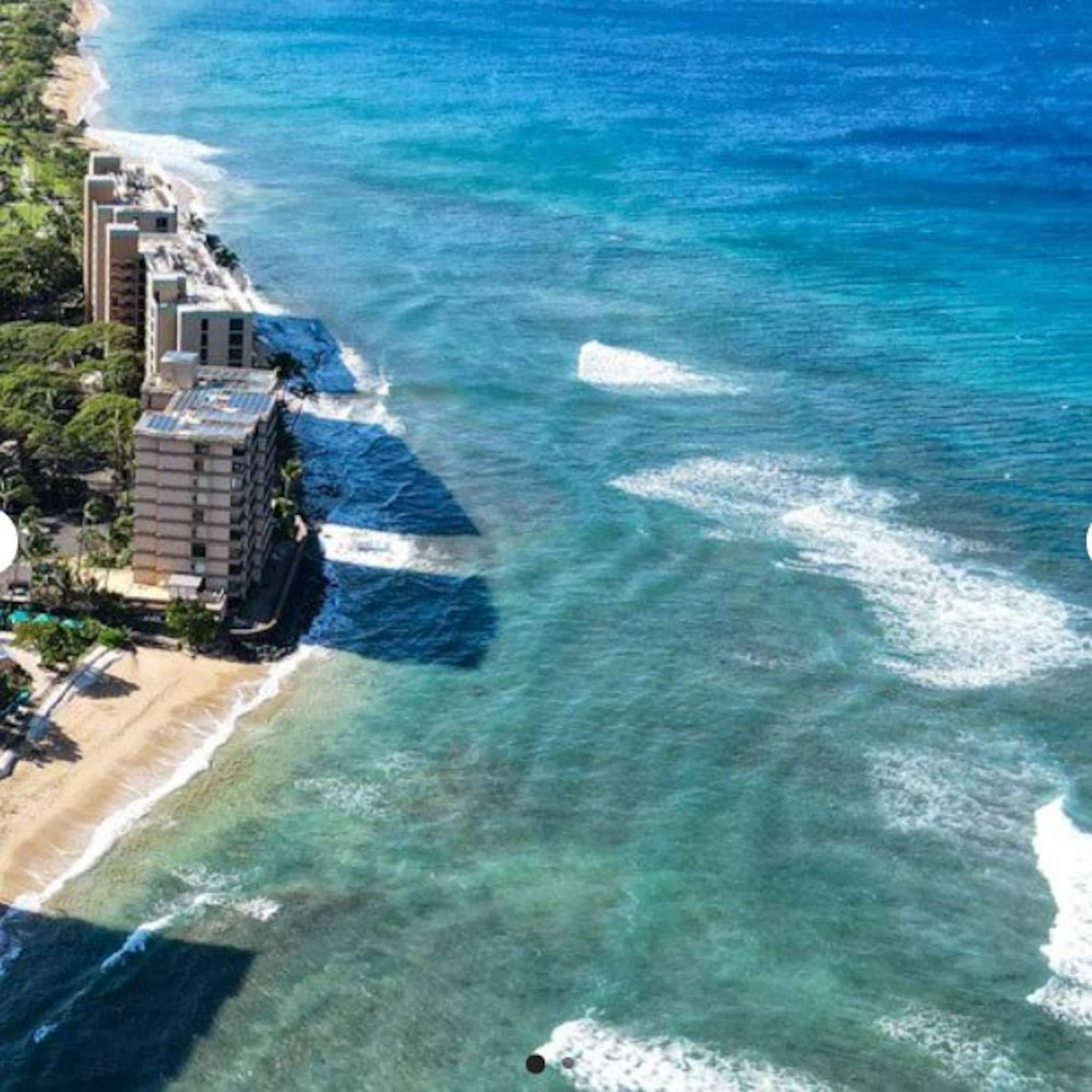 Condo in Lahaina · ★4.89 · 1 bedroom · 2 beds · 1 bath - Image 18