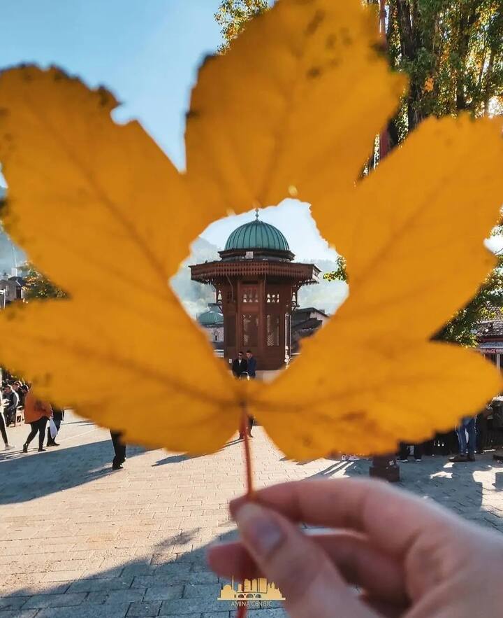 Apartment Boulevard + Rental Car +Garage Venue Apartments for Rent in