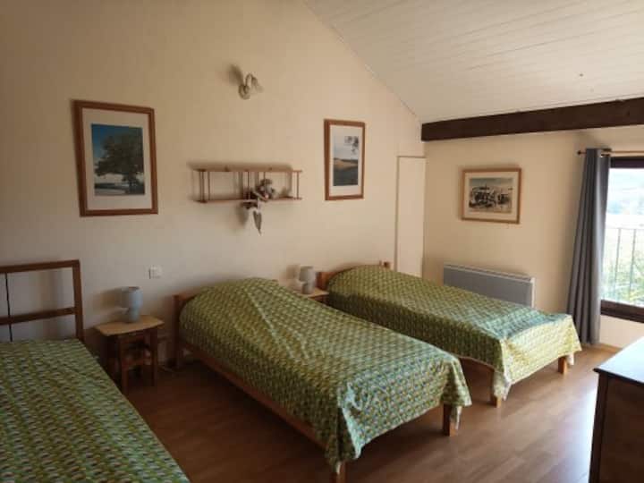 חדר ירוק עם שלוש מיטות יחיד. למעלה. נוף לפירנאים