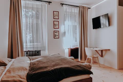 Apartment in the city center