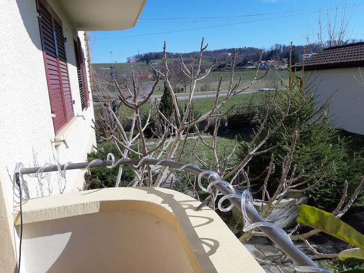 Appart. 3 Pièces, Dans Maison Familial à Murten-ch - Murten
