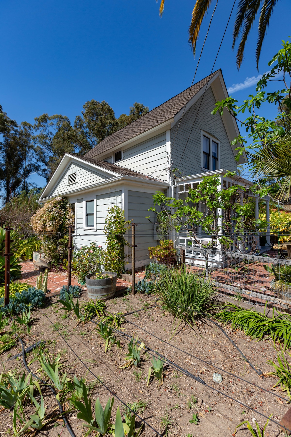 The exterior of the farmhouse is displayed, featuring classic architectural details with a gabled roof. Lush greenery and blooming plants surround the property, while a charming porch is visible. Pathways are lined with low-growing plants, enhancing the garden's natural appearance.