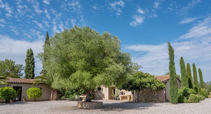 Unique villa in the Empordà gallery image 4