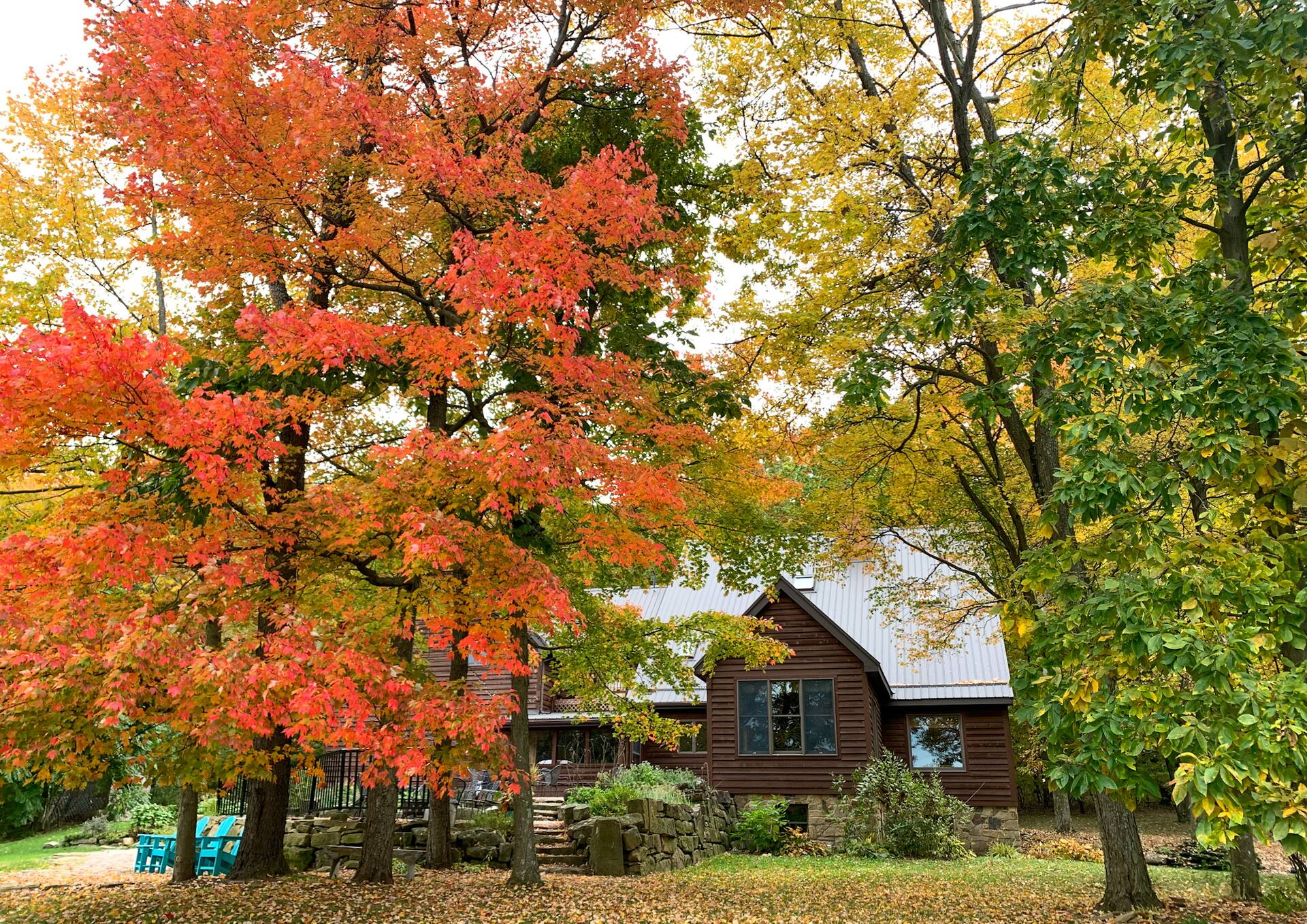Meadow Rock Farm-Entire House/6BR, Sleeps 20 — photo 2